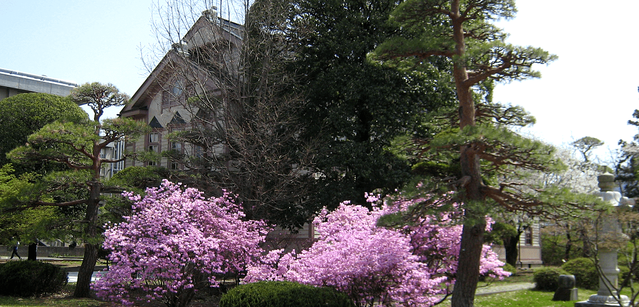 繊維学部キャンパス